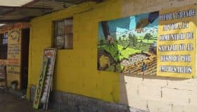 Comuneros encarcelados por defender terreno vendido a empresarios y artistas