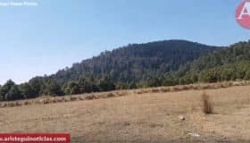 Voracidad sobre Salazar. Reportaje parte I