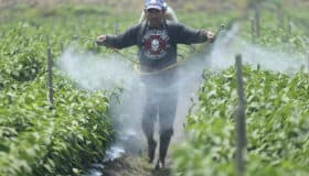 Hay acuerdo para limitar entrada de glifosato, reconoce AMLO