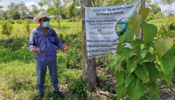 No había estudios técnicos para sembrar cacao en Tabasco: Sergio Rincón | Entérate