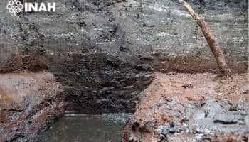 Descubre INAH antiguas chinampas en obras del trolebús en Chalco | Fotos