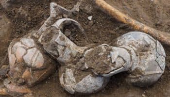 Descubren en Israel la evidencia más antigua jamás registrada del uso humano del opio