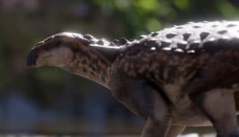 Hallan nuevo dinosaurio en la Patagonia vinculado con algún tipo de enanismo