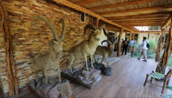 Entran a 'guaridas' de 'El Fresa' en Guerrero