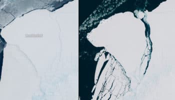 Iceberg gigante se desprende de plataforma de hielo en la Antártida | Video