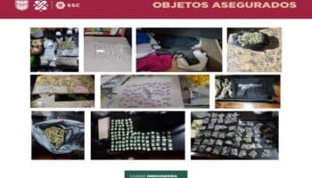 Hallan laboratorio y vivero de marihuana a Cártel de Tláhuac