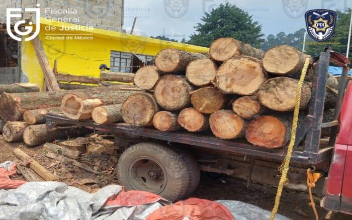 Procesa FGR a 5 presuntos talamontes que operan en Tlalpan