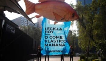 Colusión entre empresas y legisladores es tope para iniciativas de Greenpeace: Lara | Entérate