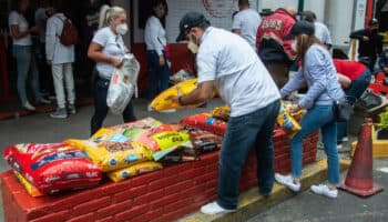 Croquetas y alimento húmedo para perros y gatos seguirán pagando IVA del 16%