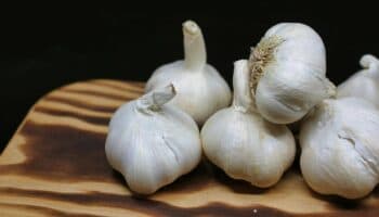 ¿Qué beneficios tiene tomar el ajo diario?
