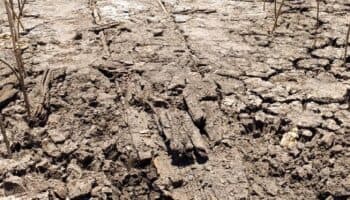Descubren vestigios arqueológicos a las orillas de la isla de Janitzio