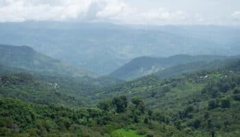 Aumenta violencia en Chiapas previo a elecciones extraordinarias: Ángeles Mariscal | Video