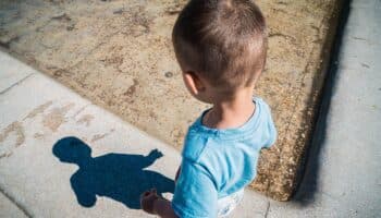 Niño fue encerrado en una camioneta durante más de un año en Francia