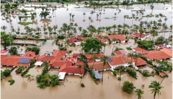 Ayudamos a una comunidad a transicionar luego del desastre: CENACED | Entérate