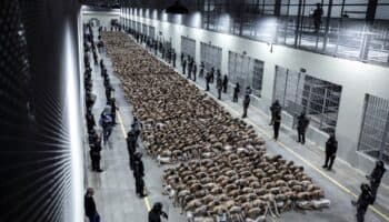 ¿Cómo es la megacárcel de El Salvador que podría recibir a criminales deportados de EU?
