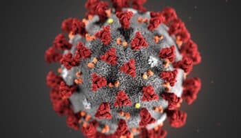 La OMS advierte sobre una nueva variante de Covid bajo vigilancia ante el aumento mundial de casos