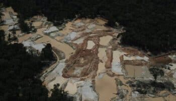 ¿Cómo impacta la minería ilegal del oro en la Amazonía?