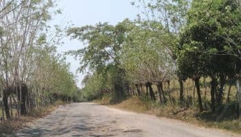 La SICT en Veracruz otorgó contrato a empresa fantasma que abandonó construcción de carretera | Especial