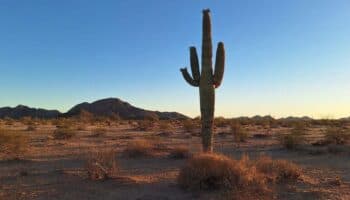 Ejido el Bajío informará a inversionistas de Londres sentencia que obliga a Grupo Fresnillo pagar unos 630 mdd a ejidatarios