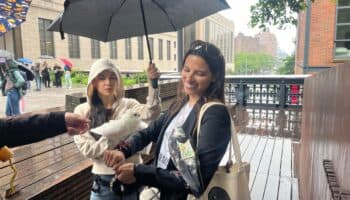 Palomas son protagonistas de festival en Nueva York