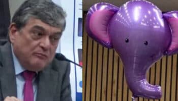INE: La defensa de los acordeones, debate entre un elefante y un dado