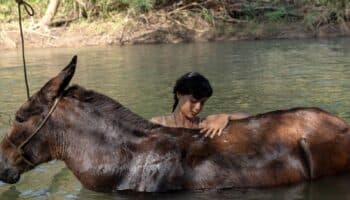 ‘La Arriera’, una película que trastoca la tradición del cine rural en México a través del amor