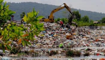 Flextival: una opción para los plásticos flexibles | WWF Mexico