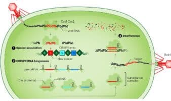 Rodrigo Sánchez Villa gana el VII Premio Internacional de Divulgación de la Ciencia Ruy Pérez Tamayo