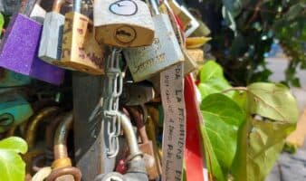 El MODO te invita a celebrar el Día de San Valentín