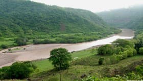 Harán hidroeléctrica en Río San Pedro, Nayarit; romperá el equilibrio ecológico: ONG