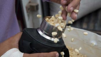 Conacyt recomienda al gobierno reducir 50% las importaciones de glifosato