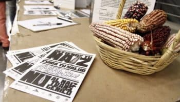 Rechazan presión de empresas de transgénicos y agrotóxicos al gobierno mexicano