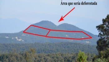 Alfredo del Mazo interviene a favor del megaproyecto inmobiliario 'Bosque Diamante', de empresarios ligados al PRI