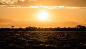 Salud Oaxaca investiga otras tres posibles muertes por golpe de calor