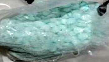 Destruye FGR más de 735 mil pastillas de fentanilo en Sinaloa