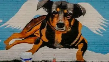 Dedican mural a 'Scooby', perrito arrojado a cazo de aceite hirviendo