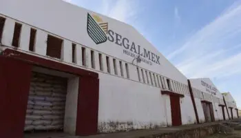 Caso Segalmex | INAI solicita a Función Pública documentación que sustente que desvío fue de 6 mil 500 mdp, no 15 mil mdp