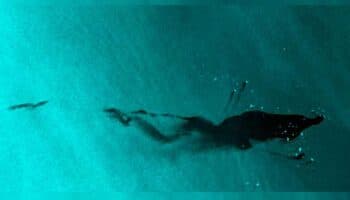 Derrame de petróleo en Golfo de México se extiende 476 kms: especialistas