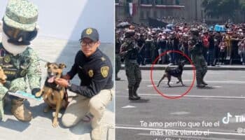 Videos | Perrito que se coló a Desfile Militar ya es integrante del Ejército mexicano