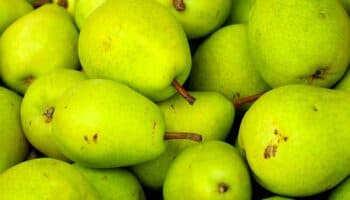 ¿Cuáles son los beneficios de comer pera diario?