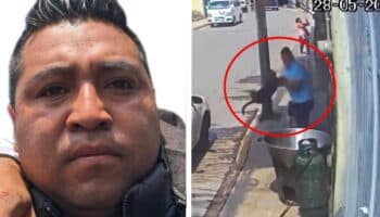 Condenan a más de 5 años de prisión al agresor del perrito 'Scooby'; podrá obtener libertad bajo fianza