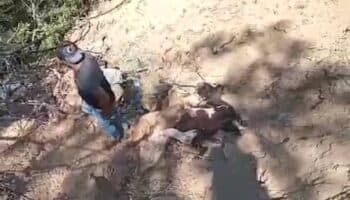 Pobladores de Acatlán, Guerrero, piden a criminales alto a los ataques con drones | Video