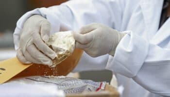 NarcoFiles | Cárteles mexicanos buscan dominar producción de drogas colombianas: Gerardo Reyes