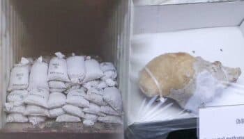 Hong Kong incauta cargamento de metanfetamina en costales con logotipos de Segalmex