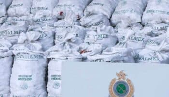 Video | Segalmex se deslinda de metanfetamina oculta en conchas