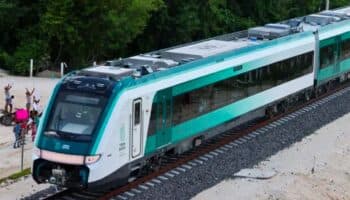 Descubren 'mayor tesoro arqueológico' en décadas por obras del Tren Maya