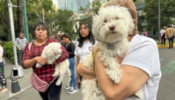 Fotos | Así se vivió el temblor de 5.7 en la CDMX