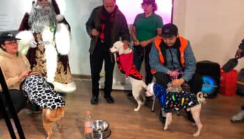 Perritos del Metro entregarán cartas a Santa y los Reyes; así puedes enviarlas