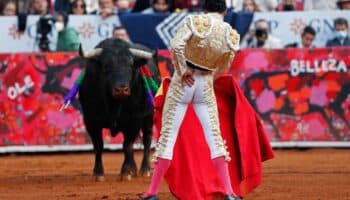 Corridas de toros volverán a CDMX con fallo de la SCJN