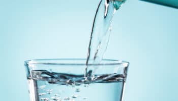 El último grito de los hidrosaurios: Elena Burns